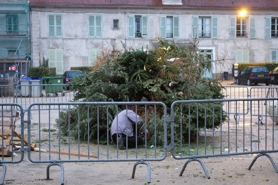 Sapins Galette et cidre: feu de joie sapins 025